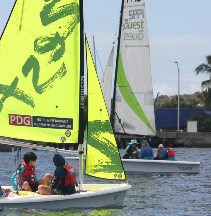 Custom Full Colour Dacron Stickers for Kites, Wings & Sails (Made to Order UK)