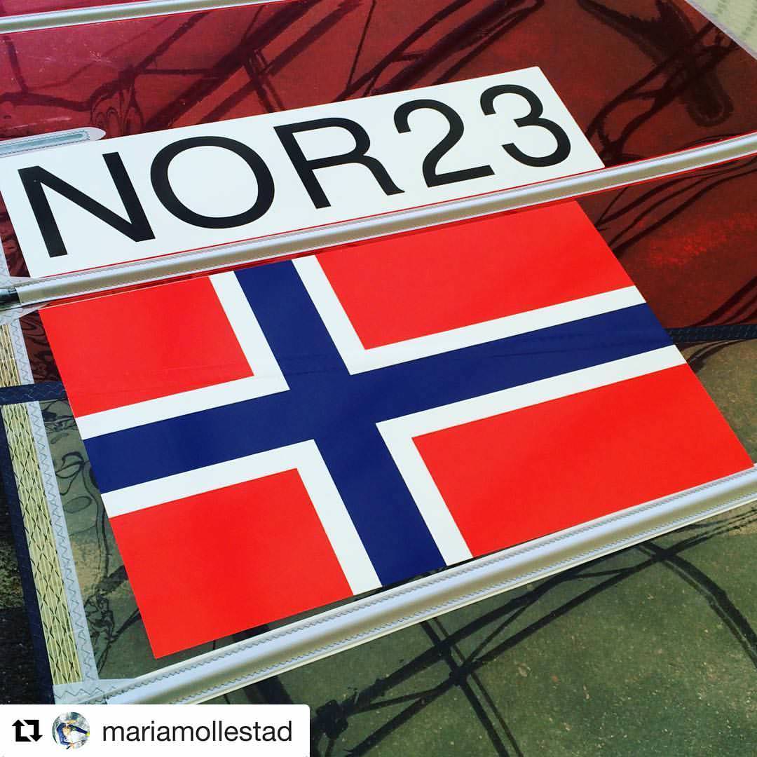 International Specification Sail Numbers Pair (Techno + RSX) image 2